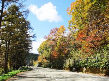『小鳥峠の紅葉』と『中山団地の紅葉』　^^