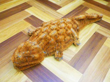 わに薬局さんの『たわし??』 ^^