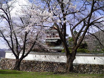 『神岡城の桜』見てきたよ