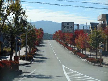 身近なところで『紅葉狩り』