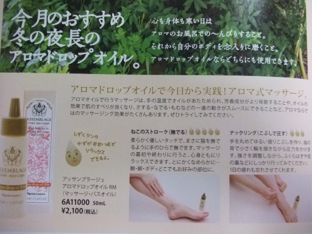 久し振りに・・・