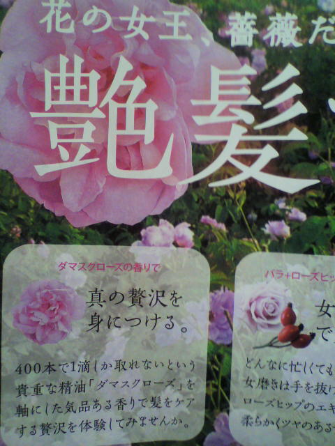 いい１日のはじまり