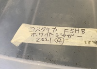 コスタリカのホワイトジャガー