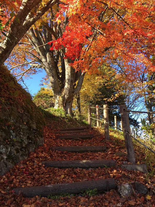 五感で感じる秋の北山公園