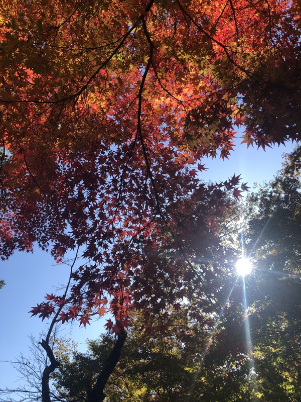 北山もだんだんと(^^♪