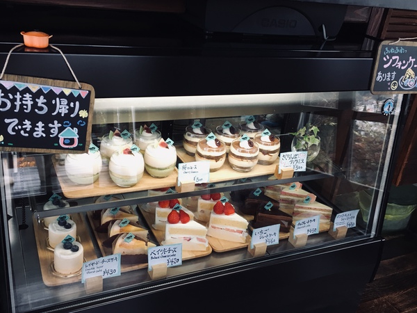 今日のラインナップ
