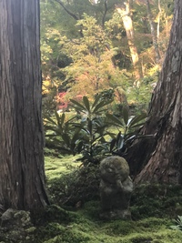京都！行ってきました(^^♪ 2019/11/15 10:00:00