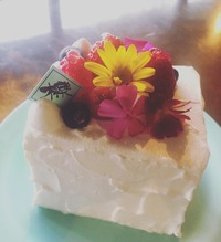 母の日限定❁✿✾  ✾✿❁︎