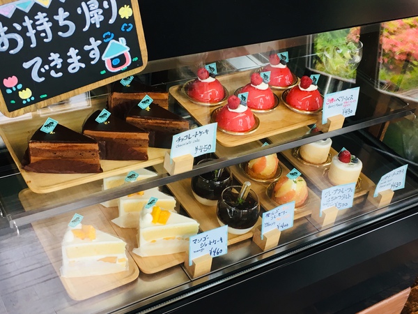 本日のラインナップ