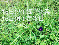 お知らせです( ¨̮ ) 2020/09/13 12:03:36