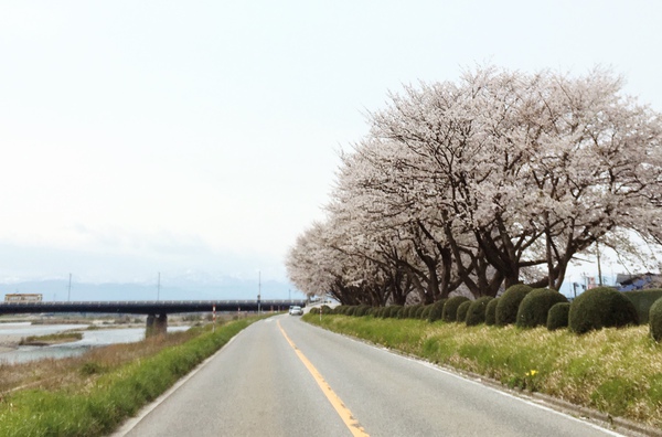 いつかな( * ॑꒳ ॑*  )♪