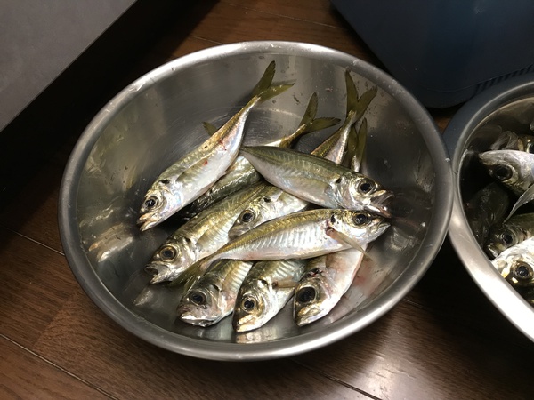 冬の富山湾　釣行