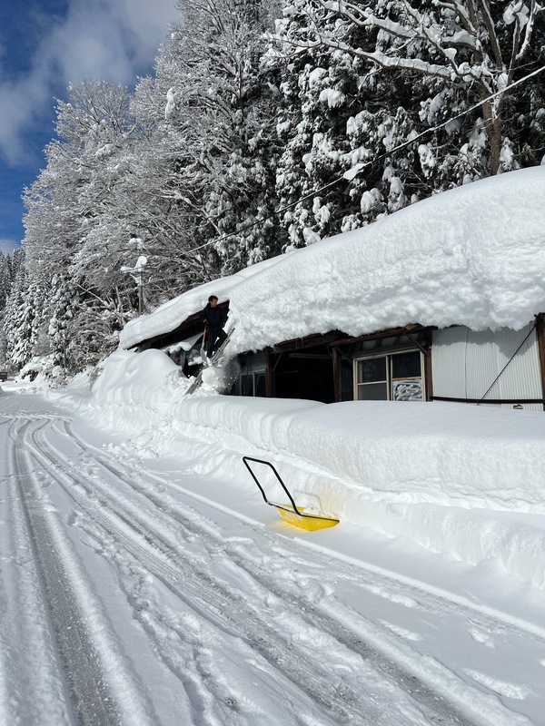 やっぱりこうなるよね