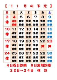 １１月の診療