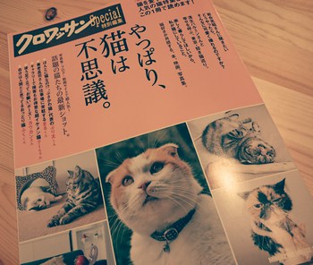 ♪時期外れのサンタクロース♪