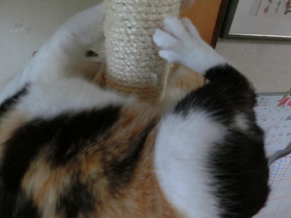 くるくる