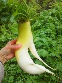 笑ME！
