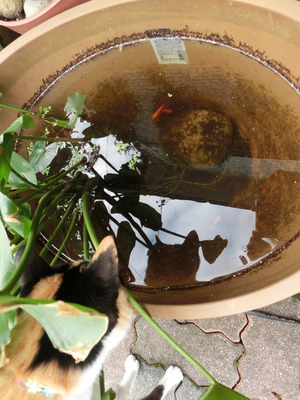 興味津々
