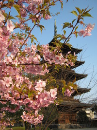 ふらり・・・京都へ！！