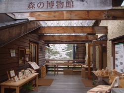 アートギャッベ展