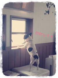 2月ですねー(ㆁωㆁ*)