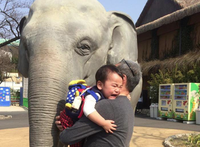 孫の喜ぶ顔が見たくて懐かい東山動物園へ！