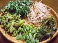 こいういうのが嬉しい！春の恵み！ 2017/04/30 11:01:06