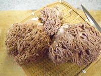 季節を食う！天然きのこ第一弾です。 2017/09/18 11:03:00