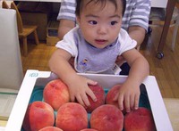 桃が最盛期ですね！ 2018/09/02 10:11:46
