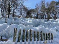 氷点下の森　２日目 2021/02/15 08:30:00