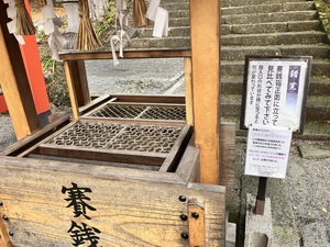 日枝神社の紅葉、今年も見に行きました