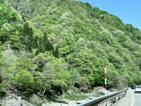 富山に行くとやっぱり…