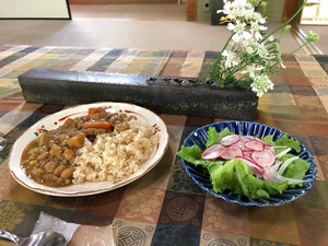 初めて作った初めて食べた 〇〇のカレー