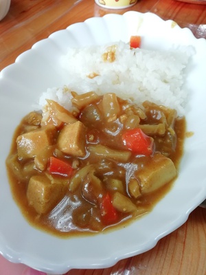 初めて作った初めて食べた 〇〇のカレー
