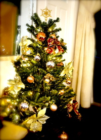 クリスマスがやって来る♪