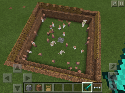 【MinecraftPE】村人の繁殖人数とドアの数とアイアンゴーレムのスポーン条件を調べてみた