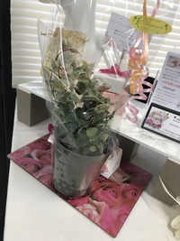 嬉しいプレゼント♡ 2019/01/17 16:14:45