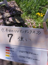 今日のUVインデックス