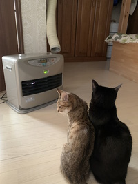 井戸端会議？いいえ、ちゃんとした打ち合わ･･･