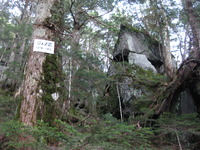 飲んで食べた御嶽山登山記