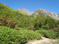 焼岳登山記