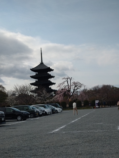 春がきたぞ！