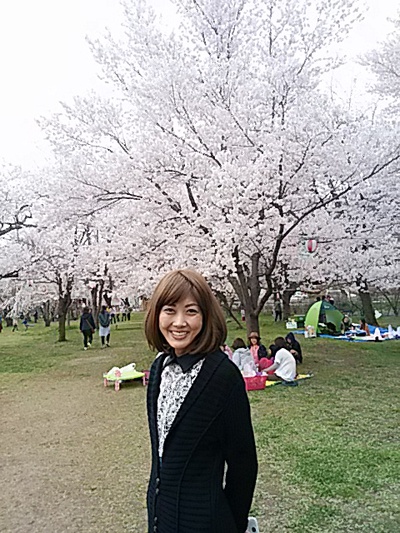 桜野公園の桜が満開でした