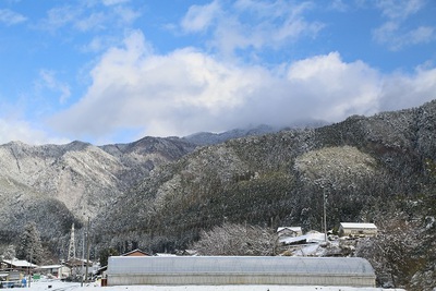 謹賀新年
