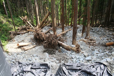 水洞登山口のアンケートを回収