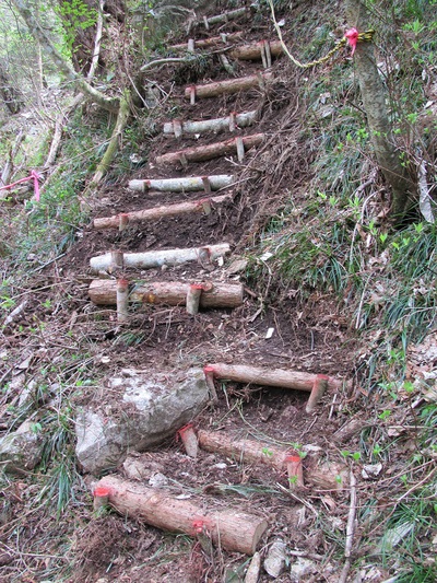 登山道の整備作業をしました