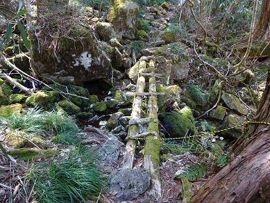 登山道の整備をしました