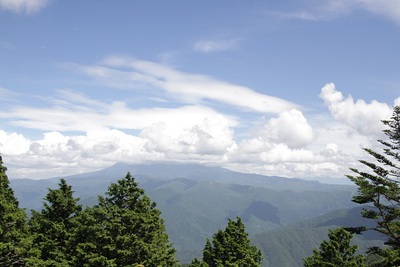 登山道整備　熊笹刈り作業