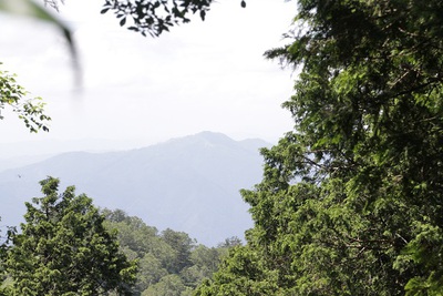 登山道整備　熊笹刈り作業