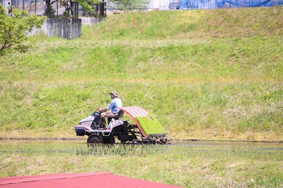 田植えが始まりました